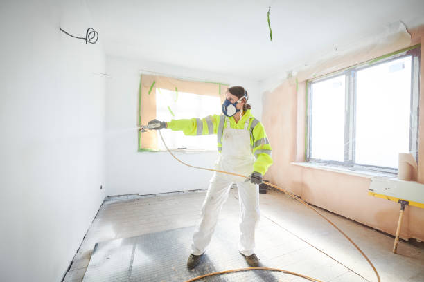  Ithaca, MI Mold Removal Pros