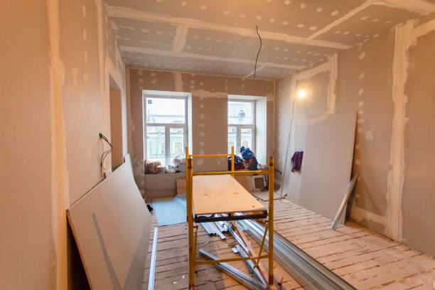 Best Post-Construction Mold Inspection  in Ithaca, MI